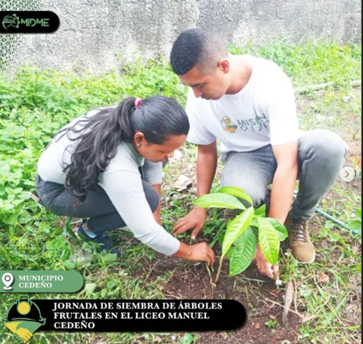 Imagen4